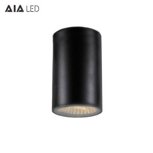 China IP54&IP44 IP65 25W ip65 led downlight&Black downlight&ip65 led surface mounted downlight on sale