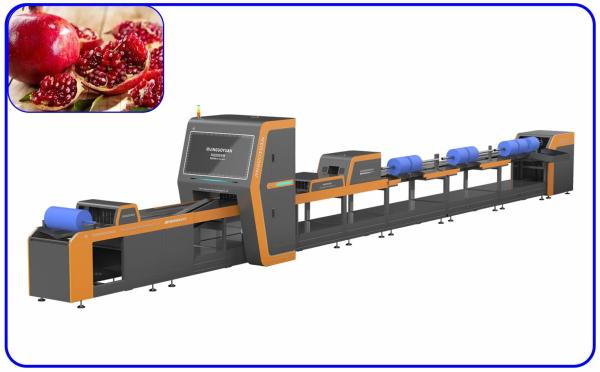 Cheap 1 Channel Mechanical Pomegranate Sorting Grading Machine Computer Control for sale