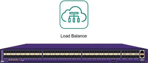 Hash Algorithm Network Device Virtualization Network TAP with Traffic Dynamic