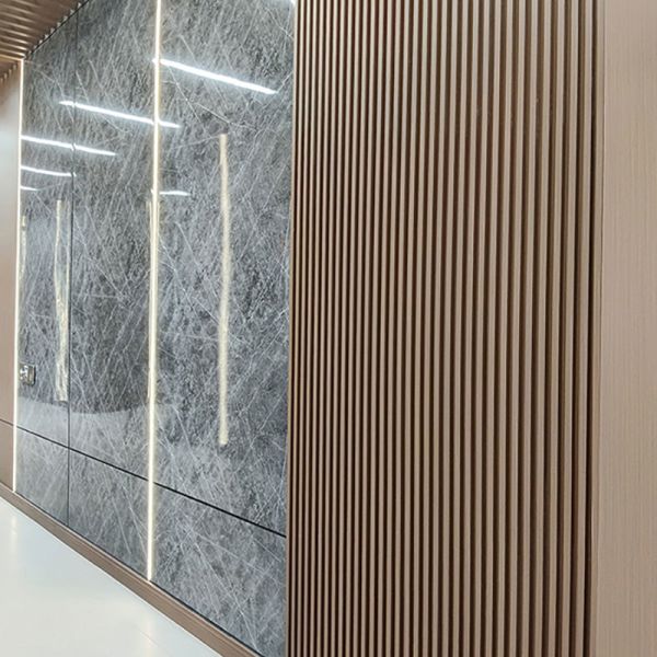 Colorful WPC Wall Panel Wall Decorations Interior Easy Installation Anti-scratch WPC Wall Cladding