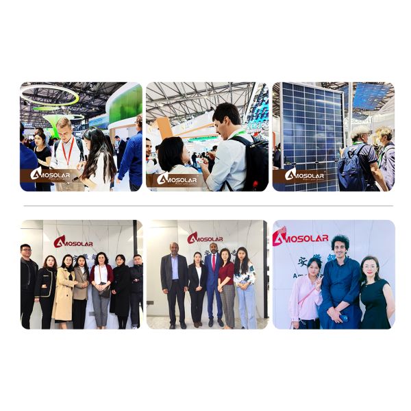 Chinese 565w 570w 575w 580w 585w 590w Solar Panel with 144 Cells and IP68 Junction Box