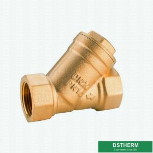 Best Customized Heavier Type DN15 Brass Y Type Strainer Check Valve With Ss Net wholesale