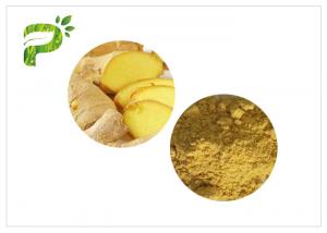 Best 1.0ppm Cadmium Natural Herb Root Powder 100 Mesh Ginger Powder Tea wholesale