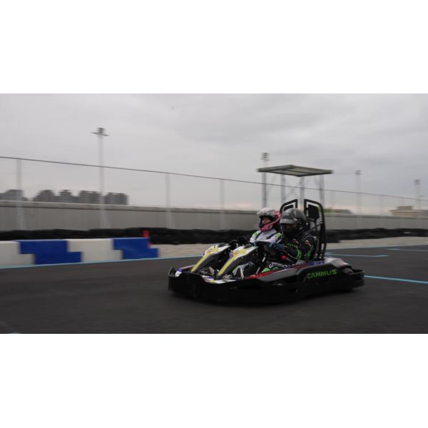 High Speed Drift Adult Electric Kart Junior Remote Control 43mm 3000RPM