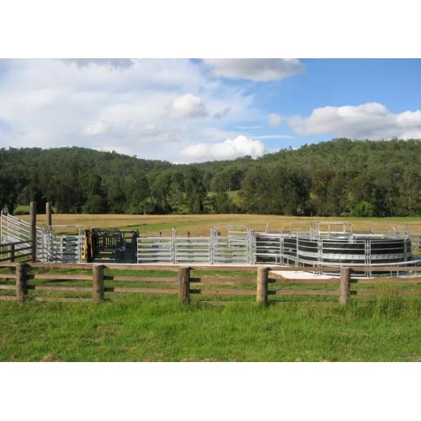 Horse 6 Bars Galvanized 30*60mm Corral Panel Fence