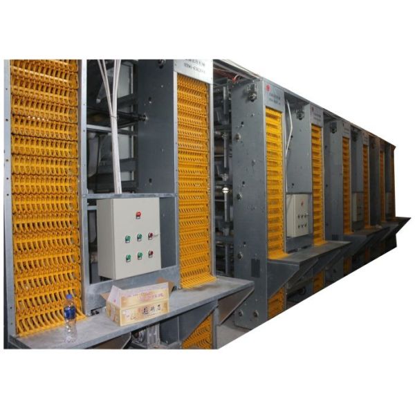 High Technology Automatic Egg Collection System 15-20 Years Lifespan