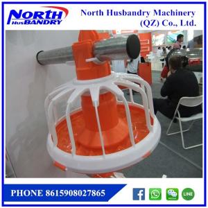 Best Automatic Chicken Drinking and Feeding line system Poultry Equipment For Chicken wholesale