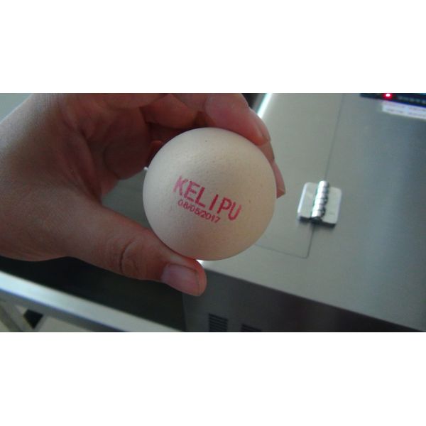 High Analytical Ink Cartridge Batch Number Printing Machine For Eggs