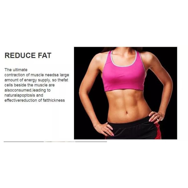 Powerful EMS Body Sculpting Machine , Magnetic Muscle Stimulator Pulsation 300us 5000w