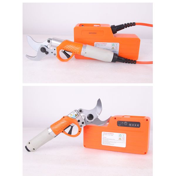 Scissors Cordless Pruning Shears with Lithium Battery for Garden