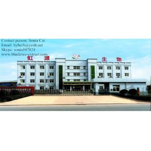 100% natural Blueberry Extract