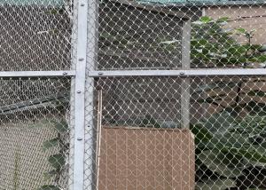 2mm Wire Diameter 304L Stainless Steel Rope Mesh For Zoo Animal Enclosures