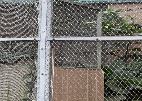 Cheap 2mm Wire Diameter 304L Stainless Steel Rope Mesh For Zoo Animal Enclosures for sale
