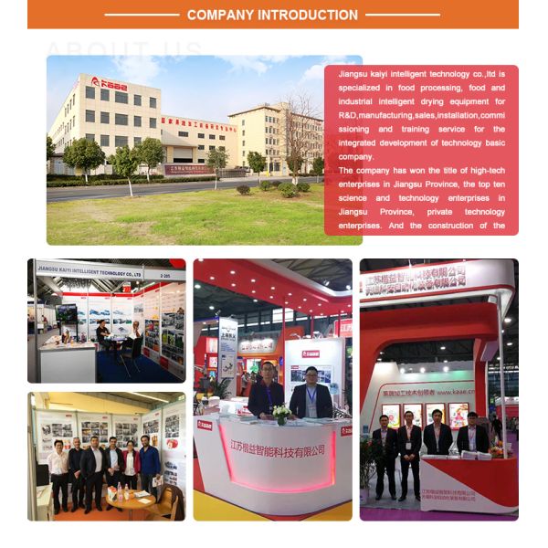 High Output Dried Persimmon Processing Line Persimmon Peeling Machine