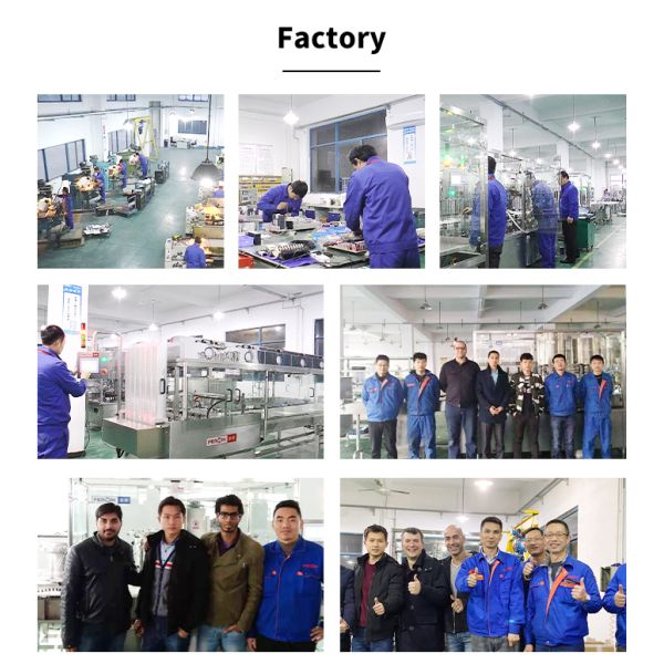 Automatic Petri Dish Filling Machine 6000BPH with 440V Electric Drive
