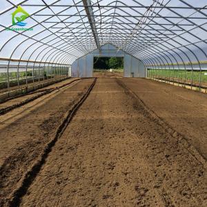 Best 10-100m Length Broccoli Polytunnel Foil Greenhouse With Metal Frame wholesale