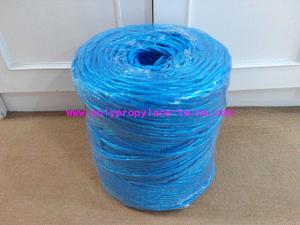 Best Agriculture PP Packing Baler Twine Raw White Red Blue Hay Baling Twine wholesale