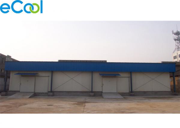 Cheap Below 100Tons Steel Sheets Small Cold Storage Warehouse With Anti Fog Cold Room Lights for sale