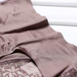 Ladies Sexy Satin Ice Silk Sexy Briefs Seamless Lace Panties 5%off Women′ S