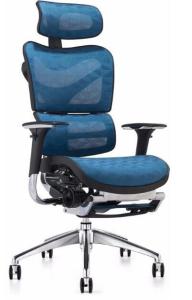 Best New Design Executive China Ergonomic Mesh Chair with Footrest wholesale