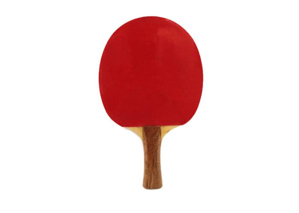 Cheap Beginner Playing Table Tennis Paddles Pimple Out / In Rubber With Sponge for sale