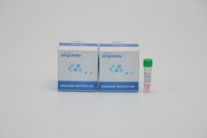 Best High Precision Rapid One Step RT PCR Kit Lab Reagent For Helicobacter Pylori HP wholesale