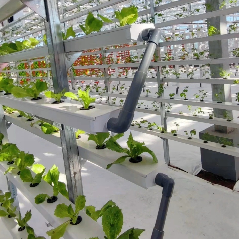 Trademarked Ju Xiang Glass Greenhouse