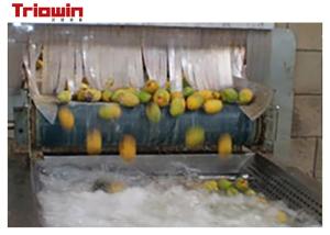 China Automatic Fruit And Vegetable Processing Line Palletizer Machine For Mango Juice on sale
