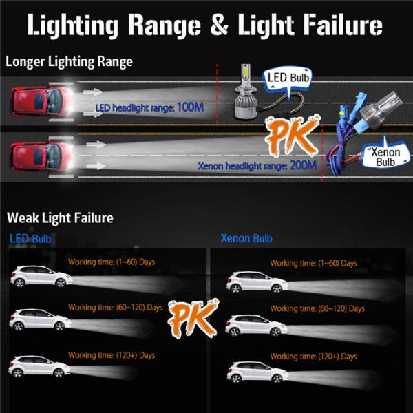 CNLM H7 Xenon Bulb