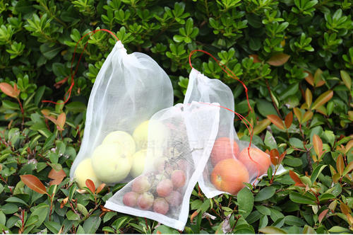 Agricultural seed bag Insect-proof fruit bag Breeding soaking bag Nylon mesh bag 20-250 mesh