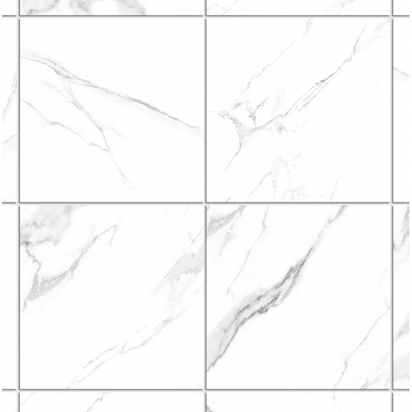 White 250x250mm Ceramic Rustic Tile for Floor and Wall