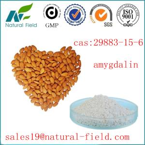 China top quality of almond extract amygdalin at less price on sale