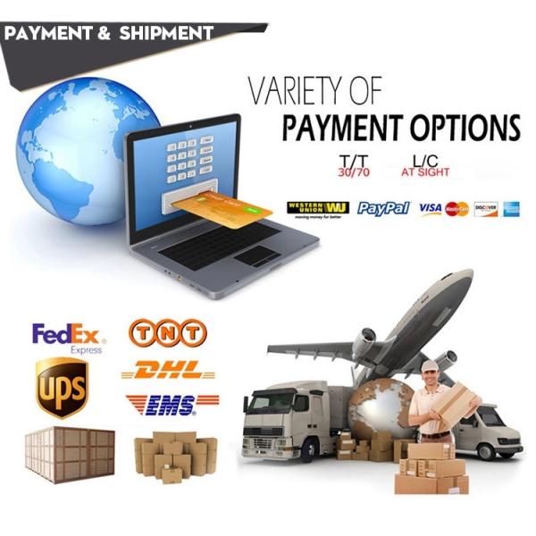 Fuel Pump 0445010221 0445010169 0445020168 Injector Diesel For Bosch CP1 H3 Engine