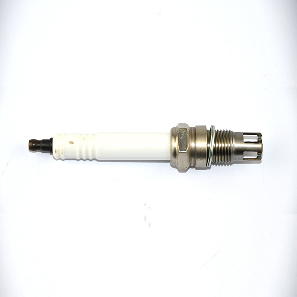 R10P7 Torch Spark Plug Specially Designed to Match for jenbach-er