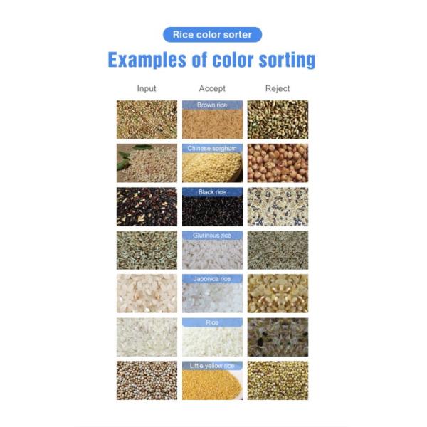 Intelligent Cashew Nut CCD Sort Machine Rice Color Sorting Machine Cereal Color Sorter