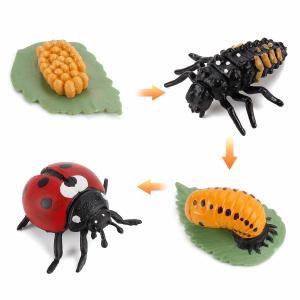 Best 4 PCS Ladybird Animal Life Cycle Insect Growth Model Figure Cake Toppers Learning Development Toys For Boys Girls Kids wholesale