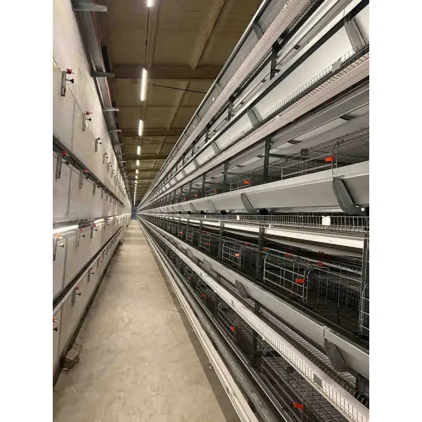 Automatic H Type Battery Layer Chicken Cage System with Fully Automatic Operation, Hot-Dip Galvanized Steel, and H-Type Layered Design for Poultry