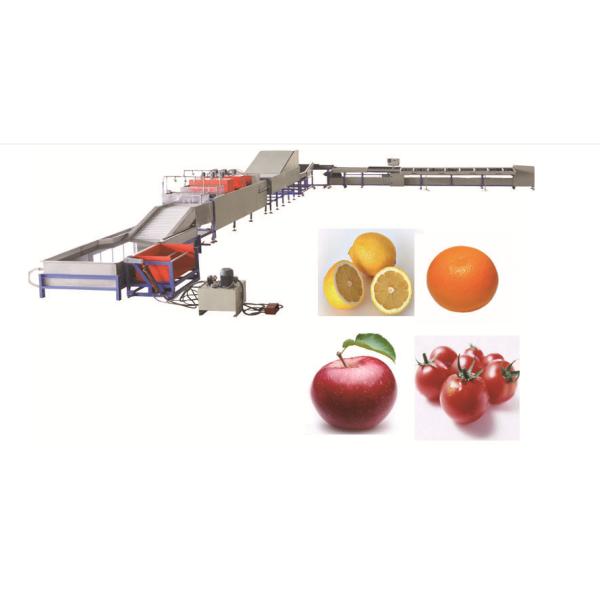 Automatic fruit and vegetable electronic fruit picker ,classifier,weight sorter