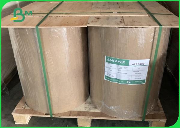Cheap 270gsm Clay Coated Kraft Back ( CCK ) 900mm Roll Tear Resistance for sale