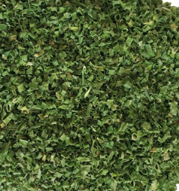 Best FD Chives wholesale