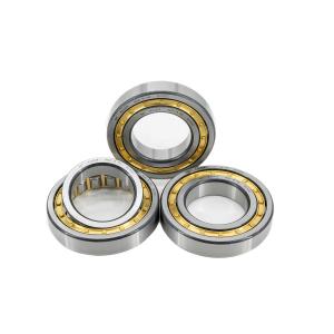 N/NU/NJ/NF1009EM Cylindrical Roller Bearing 45*75*16mm for in Building Material Shops