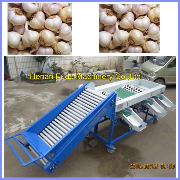 Cheap Garlic grading machine , onion sorting machine for sale