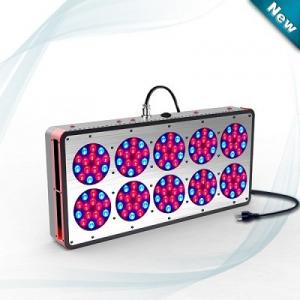 China Grow LED light high power with full spectrum 350W in horticulture on sale