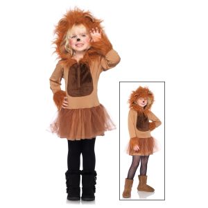 Best Wizard Of Oz Teen Girl Halloween Costumes With Hooded Dress wholesale