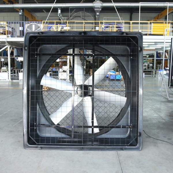 Cheap 520V Industrial Livestock Farm Exhaust Fans Fiberglass With Cone for sale