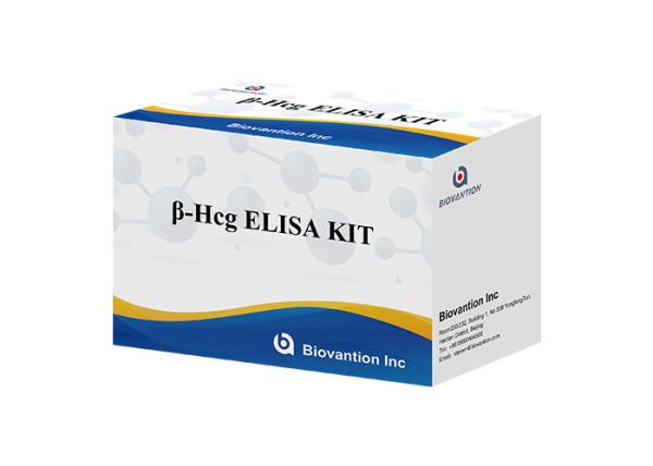 Cheap β-HCG Elisa Assay Kit For β-Human Chorionic Gonadotropin for sale