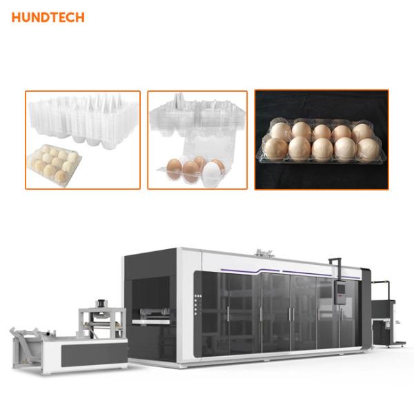 Cheap Trifold Shape Egg Box Making Machine Plastic Thermoforming Equipment for sale