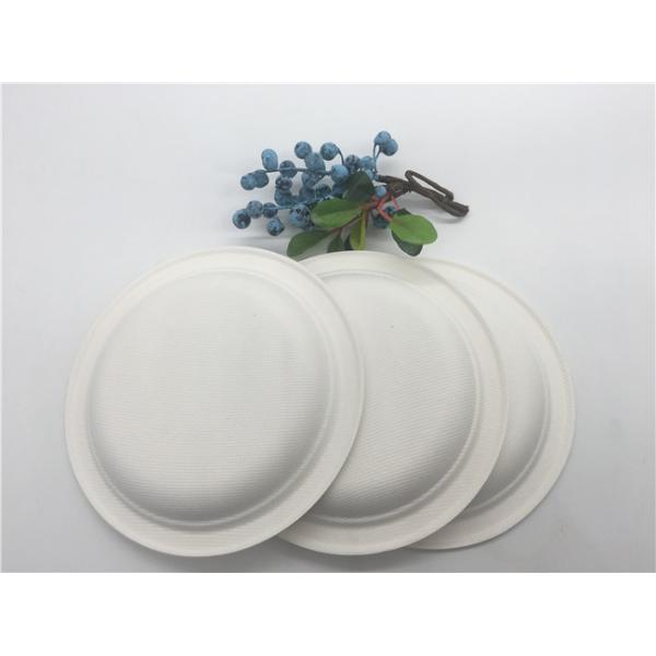 Waterproof 12 Inch Tableware Sugarcane Pulp Plates