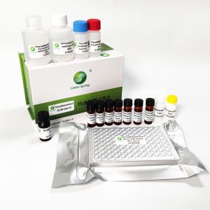 Phenylethanolamine A ELISA Test Kit For Milk Egg Urine Serum Feed 96 Wells/Kit