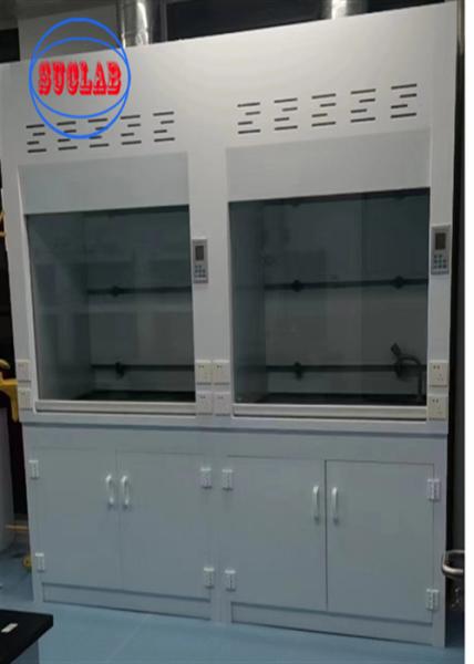 Cheap Wall Mounted Chemical Fume Hood Lab Perchloric Acid Fume Hoods with 400m3/h Airflow Pp for sale